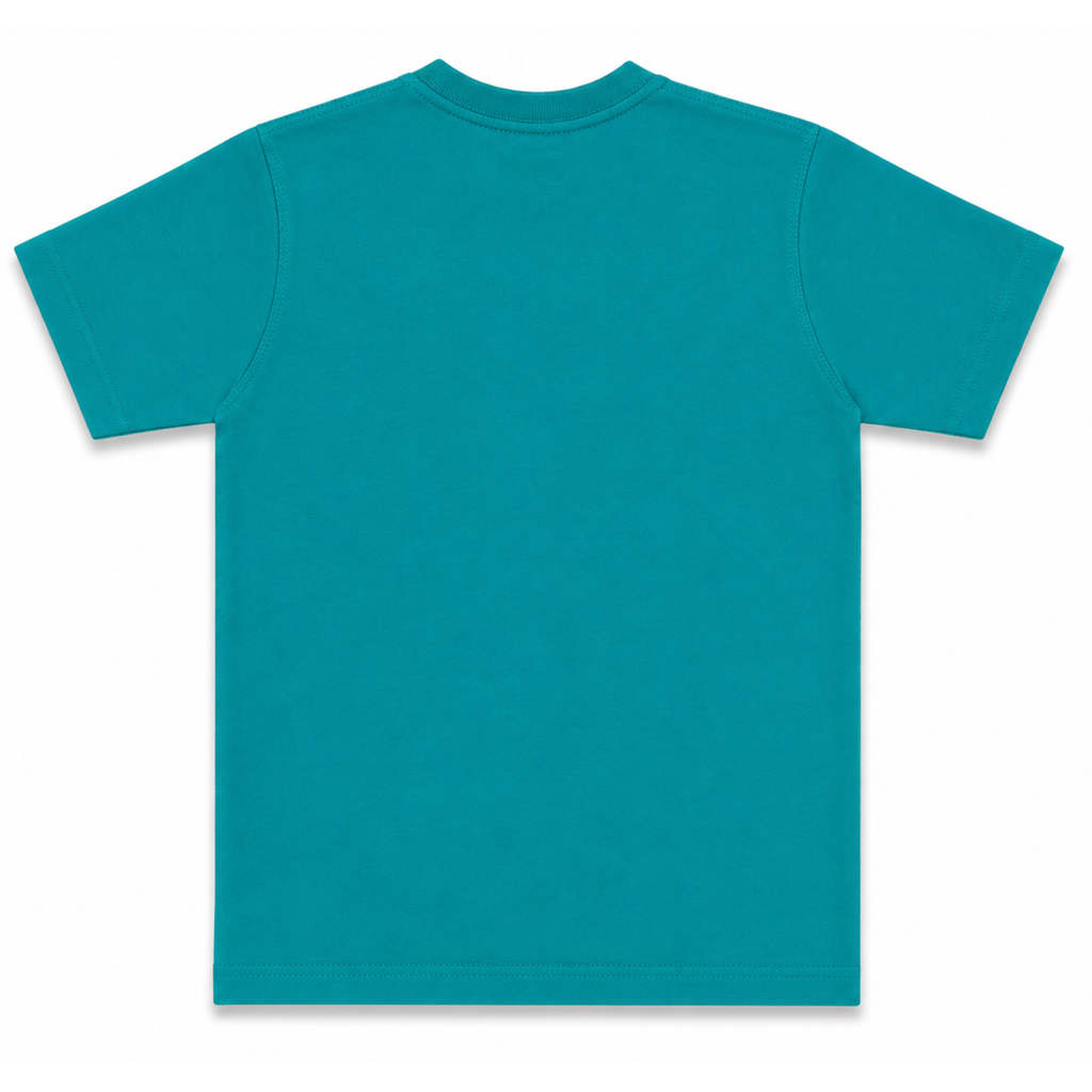 Graphic Print T-Shirt