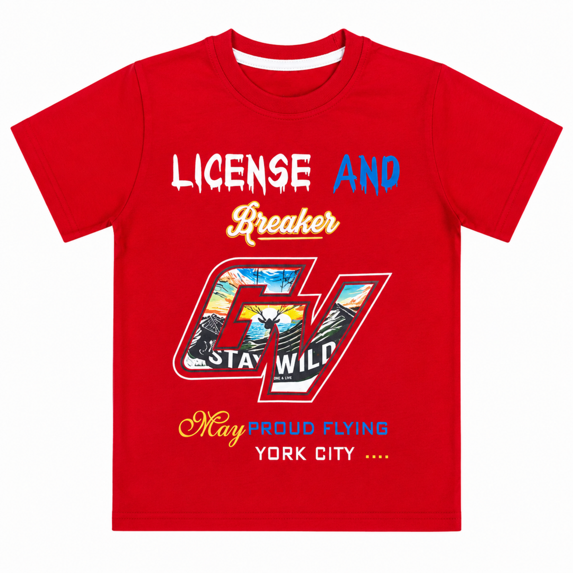 Boys Graphic T-Shirt
