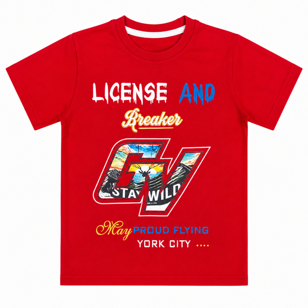 Boys Graphic T-Shirt
