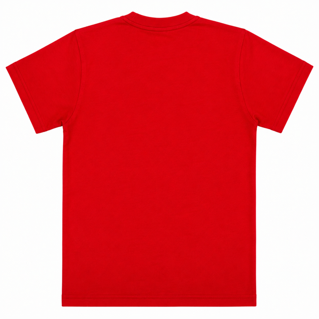 Boys Graphic T-Shirt