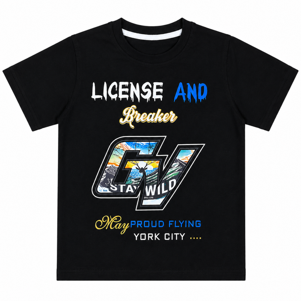 Boys Graphic T-Shirt