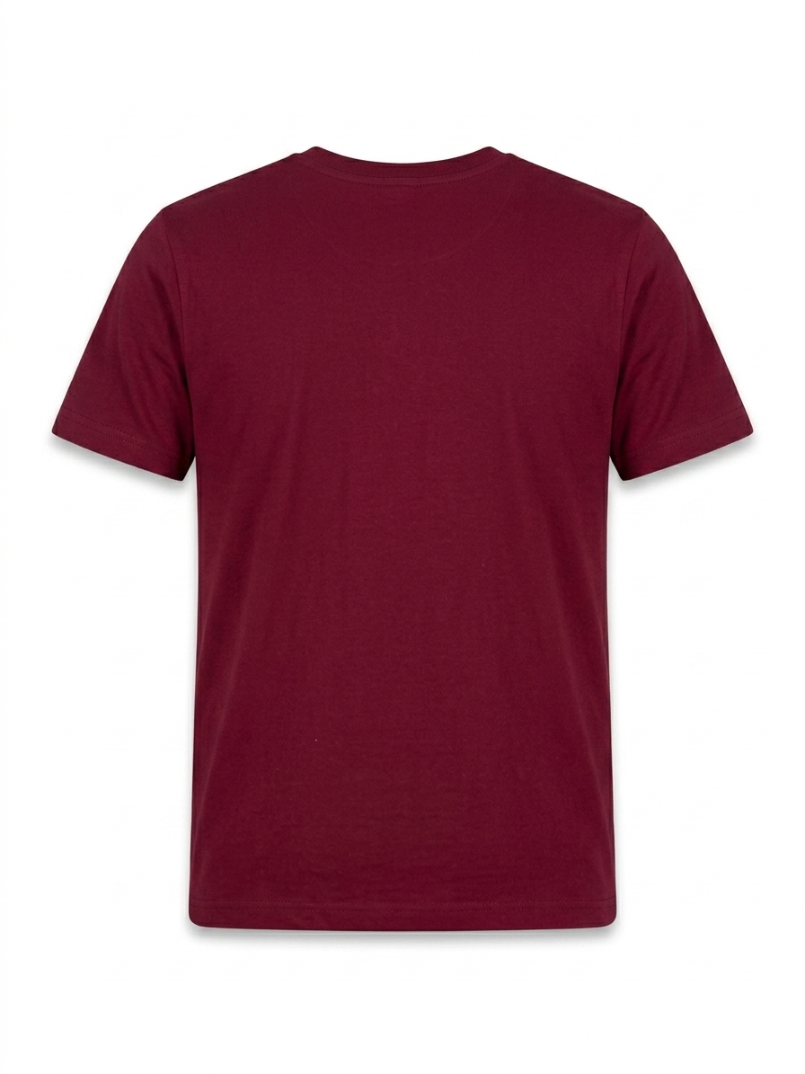 Graphic T shirt For Boys