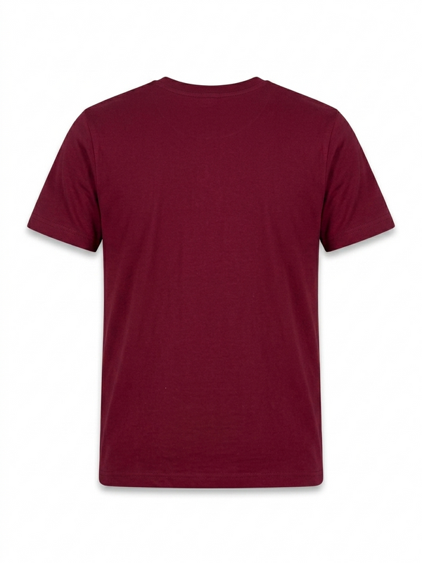 Graphic T shirt For Boys